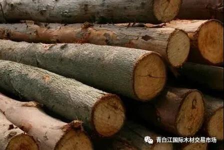 【木材資訊】1-2月國內(nèi)木材進(jìn)口降幅超兩成！