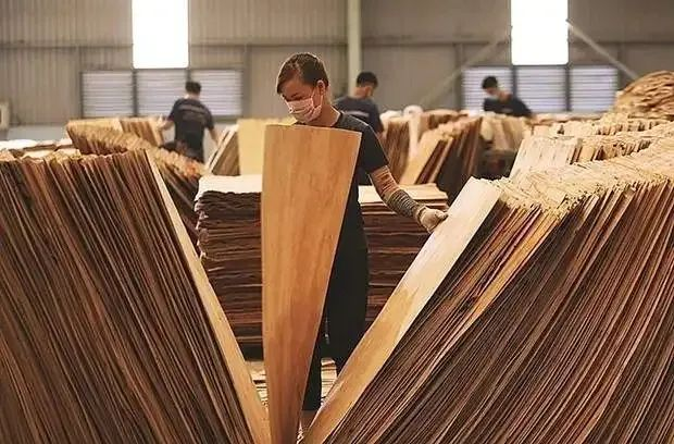 【木材資訊】上半年，越南木制品出口額猛降4.6%至403億