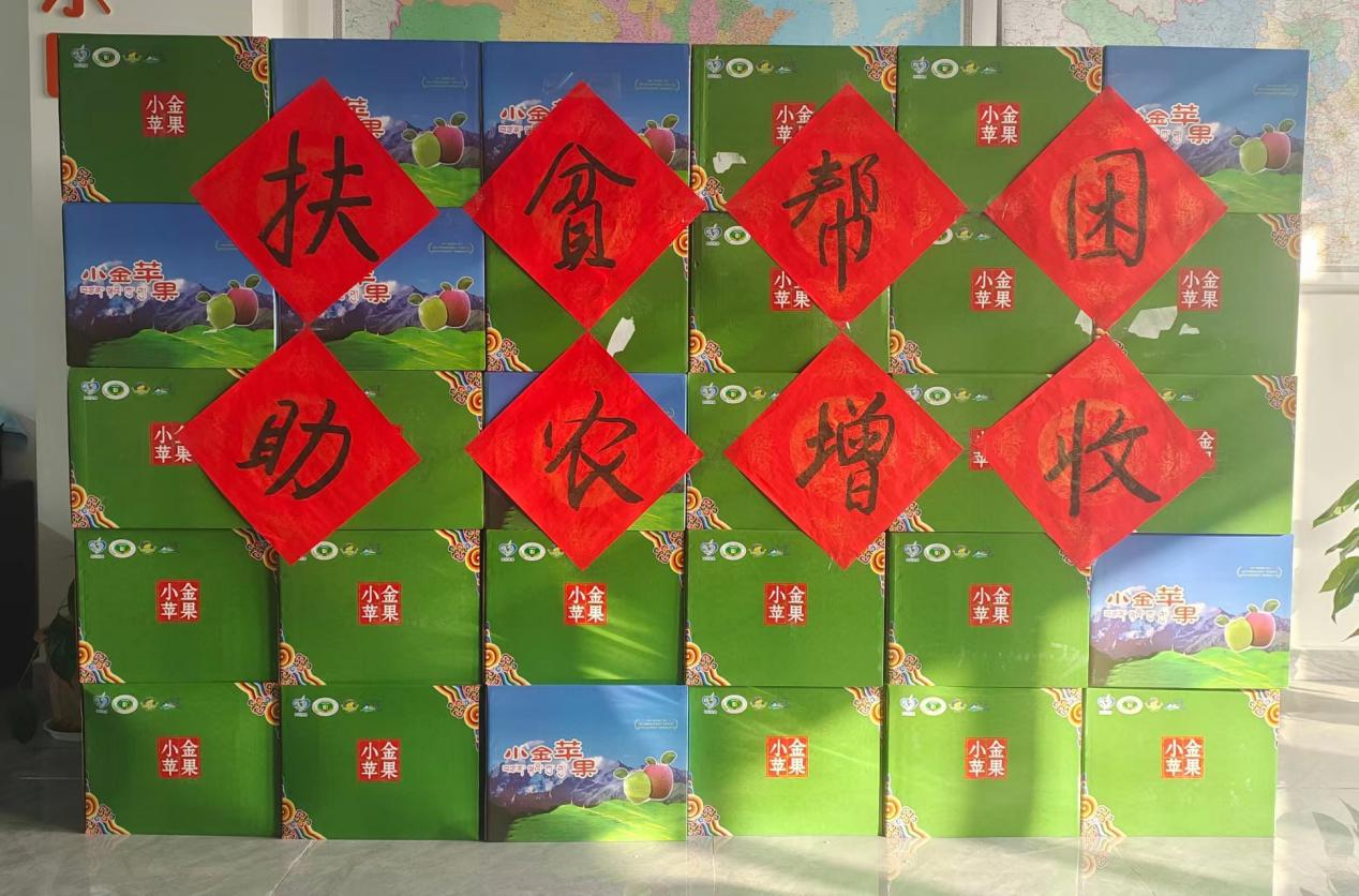 【中心動態(tài)】對口幫扶在路上 助農增收振鄉(xiāng)村